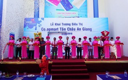 Thị trường bán lẻ Việt Nam: Hội tụ các thương hiệu lớn