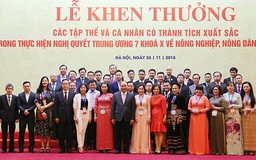 NHCSXH được Thủ tướng tặng Bằng khen