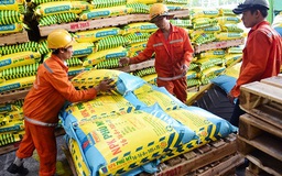 Vì sao PVFCCo điều chỉnh kế hoạch sản xuất kinh doanh 2018?