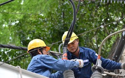 Điện lực TPHCM: Cấp điện an toàn, liên tục trong dịp Tết