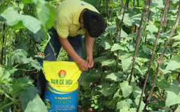 Lợi ích của nông dân là số 1
