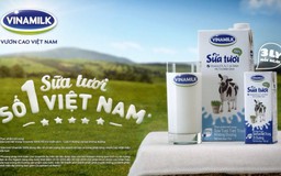 Vinamilk- thương hiệu số 1 về sữa nước và sữa bột