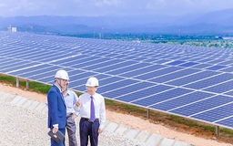 Điện lực miền Nam: Hỗ trợ phát triển năng lượng điện tái tạo