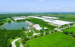 Nhờ chủ động nguyên liệu, Vinamilk dẫn đầu thị trường sữa tươi