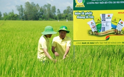NPK Cà Mau sẽ cung cấp cho thị trường 300.000 tấn/năm