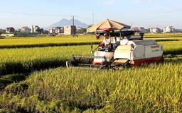 Chung tay vì sự phát triền bền vững của ngành lúa gạo Việt Nam