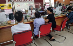 Agribank tăng khả năng tiếp cận nguồn vốn của khách hàng