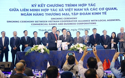 Agribank hỗ trợ thúc đẩy HTX tăng trưởng bền vững