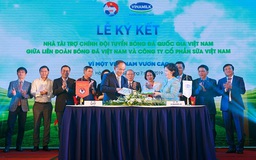 Vinamilk là nhà tài trợ chính cho các đội tuyển bóng đá quốc gia