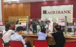Người đi xuất khẩu lao động có thể vay 80% chi phí tại Agribank