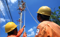 Điện lực Đồng Tháp bảo đảm cung cấp điện ổn định, an toàn