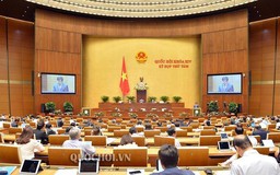 Đòi nợ thuê : Chính phủ đề nghị cấm, Quốc hội nói không nên