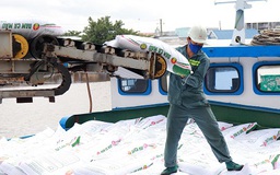 Đạm Cà Mau về đích sớm 51 ngày