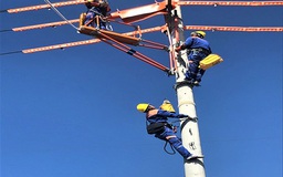 PC Ninh Bình phấn đấu giảm tổn thất điện năng xuống 4,39%