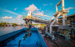 Phân bón Cà Mau xuất xưởng gần 2.350 tấn sản phẩm trong ngày ra quân đầu năm