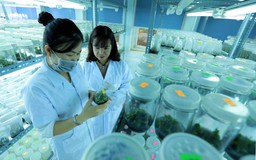 Nestlé Việt Nam và La Vie phấn đấu hoàn trả 100% lượng nước sử dụng trong năm 2025