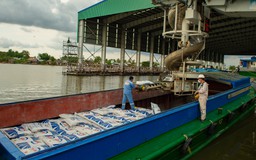 Phân bón Cà Mau giảm xuất khẩu để chủ động nguồn cung trong nước