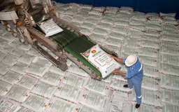 Các doanh nghiệp phân bón nỗ lực đồng hành cùng người nông dân