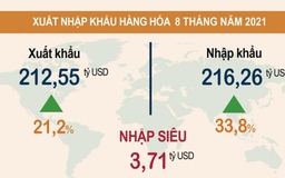 Kim ngạch xuất khẩu 8 tháng tăng 21,2% so với cùng kỳ