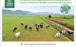 Hành trình xây dựng hệ thống 13 trang trại chuẩn quốc tế của Vinamilk