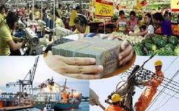 Thủ tướng quyết định kiểm tra việc thực thi Nghị quyết 19