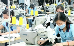 Hai lực đẩy mạnh cho ngành dệt may
