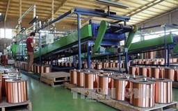 91,9% DN lạc quan về sản xuất trong 6 tháng cuối năm 2019