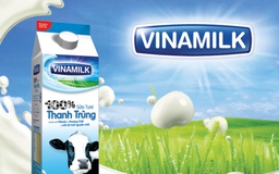 Công bố giá khởi điểm cổ phần Vinamilk trước đấu giá 7 ngày