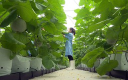 Giải phóng nguồn lực tự nhiên: 'Cần nhất liêm chính - công bằng'