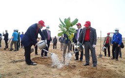 Vietjet hưởng ứng “Tết trồng cây” tại Phú Yên