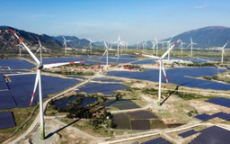 Trungnam Group ủng hộ 1 triệu USD cho Quỹ vaccine