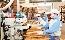 Đề xuất quy định phân loại doanh nghiệp chế biến, xuất khẩu gỗ