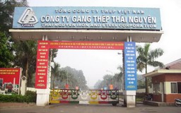 Tương lai của Gang thép Thái Nguyên