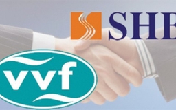 NHNN chấp thuận sáp nhập thêm 1 công ty tài chính vào ngân hàng SHB