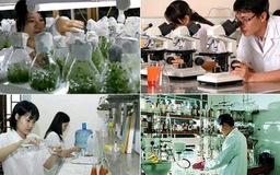 Không có giới hạn với tinh thần khởi nghiệp