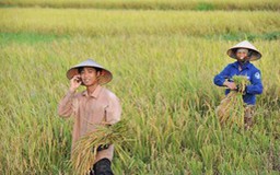 "Nông nghiệp điện tử" cho hàng triệu nông dân
