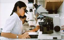  Thu hút chuyên gia nước ngoài hoạt động KHCN tại Việt Nam