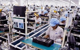 Bao bì cho Samsung và cái chết của con cá ngừ