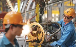 “Có chủ tịch tỉnh chưa bao giờ gặp doanh nghiệp”