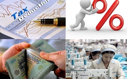 Chính phủ sửa cùng lúc 4 Nghị định về thuế