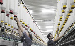 Doanh nghiệp hãy tự “lột xác” để phát triển