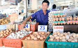 Bộ trưởng yêu cầu sửa ngay giấy phép “đánh đố” quả trứng