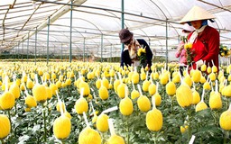 Tin vui từ “nỗi đau” của Bộ trưởng