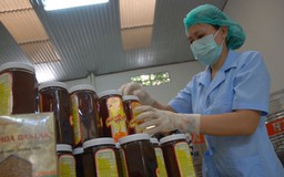 Đàn ong “cõng” 225.000 giấy phép kiểm dịch mỗi năm