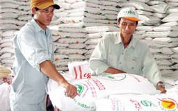 Làm rõ thông tin cơ chế nhập khẩu đường "không minh bạch"