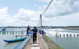 DN Việt Nam đầu tiên đạt chứng nhận thuỷ sản bền vững 