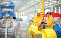 Tăng tốc cổ phần hóa và sự “thiệt thòi” của DNNN
