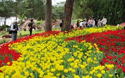 Tour du lịch đặc trưng Tây Nguyên hút du khách