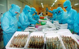  Khắc phục lỗi sai về điều kiện ATTP thủy sản