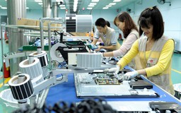 DN làm gì, sau những nỗ lực của Chính phủ?